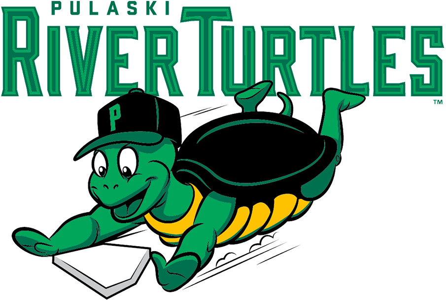 Pulaski River Turtles 2021-Pres Primary Logo iron on transfers for clothing